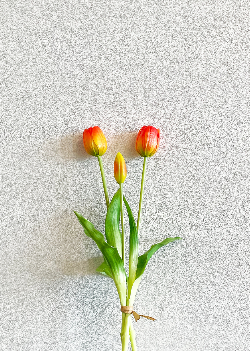 Mango Tulip (Orange)