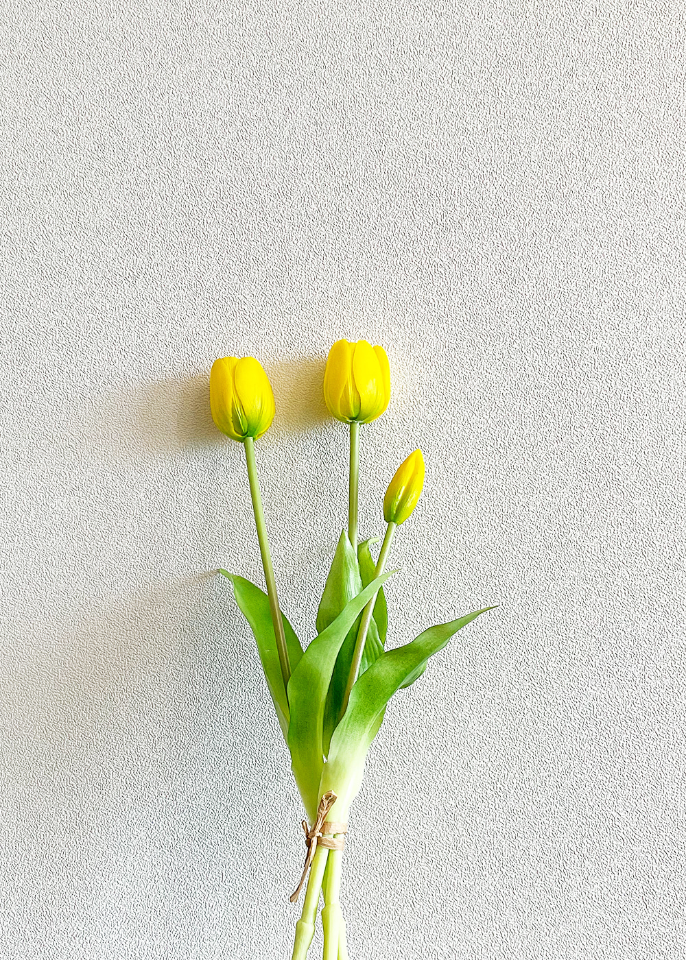 Mango Tulip (Yellow)